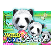 เกมสล็อต Wild Giant Panda