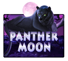 Joker123s Panther Moon ทดลองเล่นสล็อต