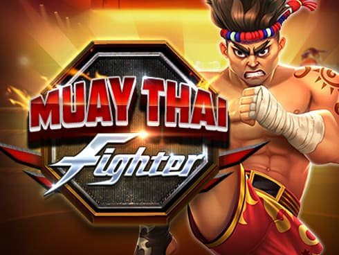 MUAY THAI FIGHTER